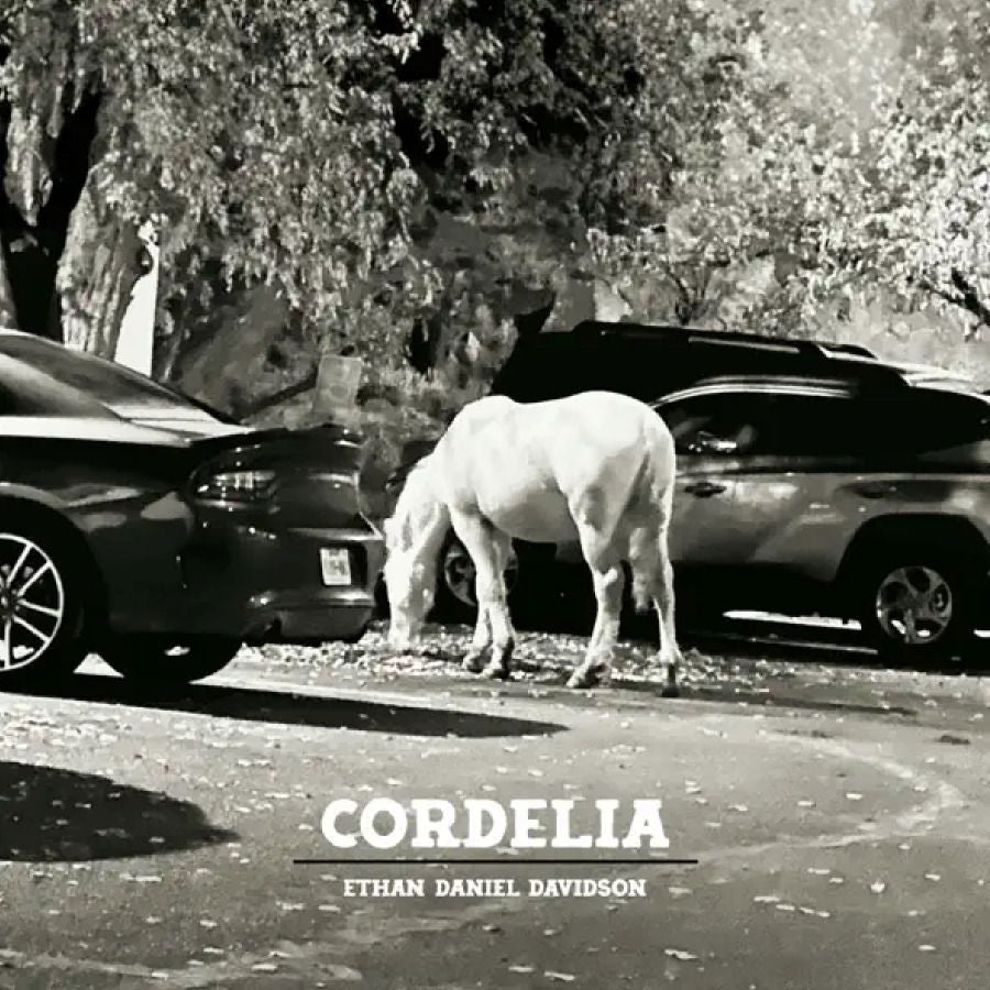 Ethan Daniel Davidson - Cordelia (LP) Cover Arts and Media | Records on Vinyl