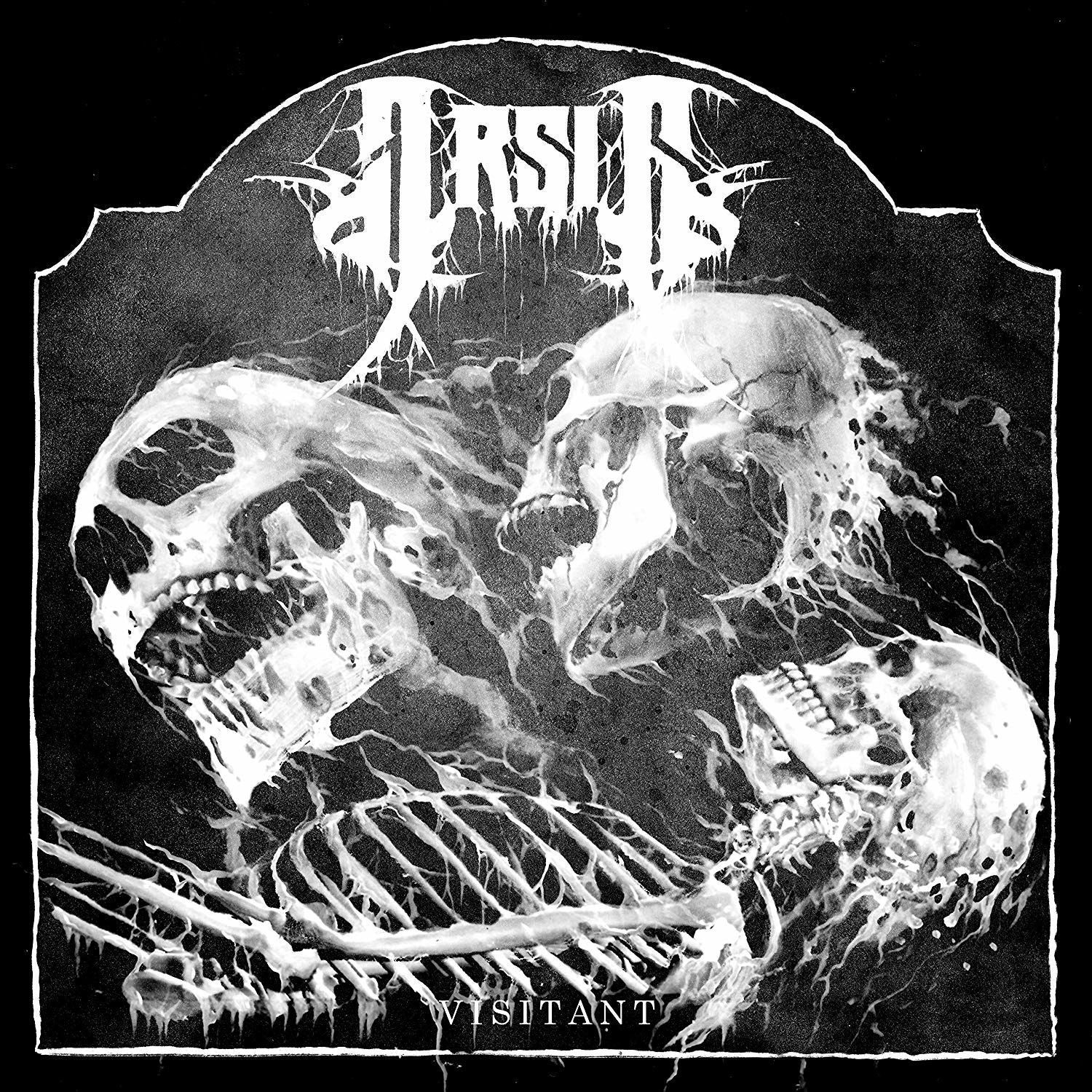 Arsis - Visitant (LP) Cover Arts and Media | Records on Vinyl