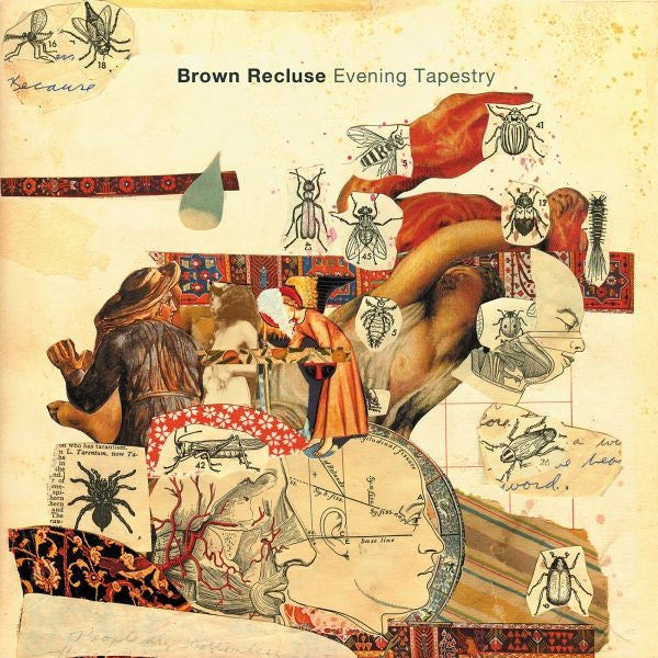  |   | Brown Recluse - Evening Tapestry (LP) | Records on Vinyl