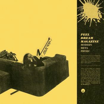 Peel Dream Magazine - Modern Meta Physic (LP) Cover Arts and Media | Records on Vinyl