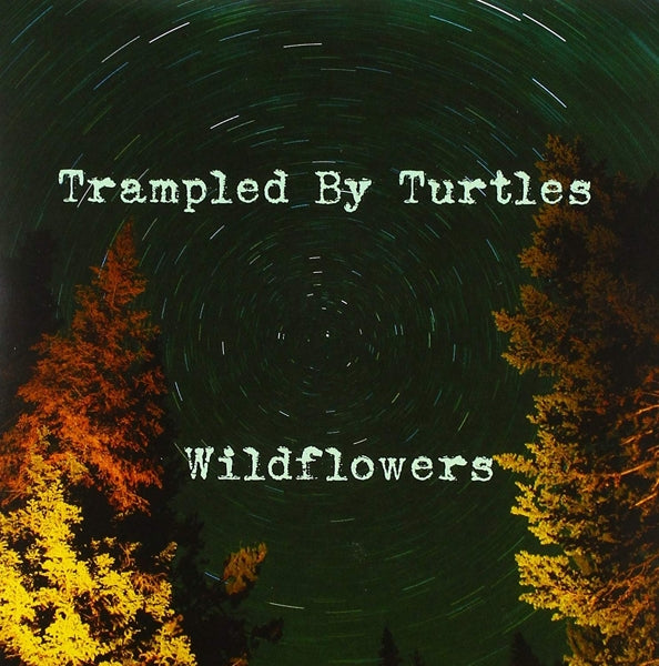  |   | Trampled By Turtles - Wildflowers (Single) | Records on Vinyl