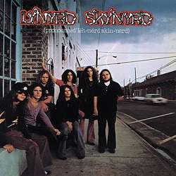  |   | Lynyrd Skynyrd - Pronounced Leh-Nerd Skin-Nerd (2 LPs) | Records on Vinyl