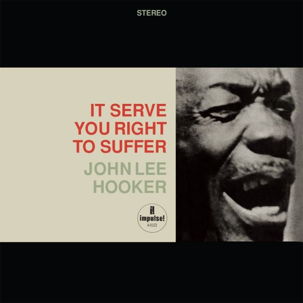  |   | John Lee Hooker - It Serve You Right (2 LPs) | Records on Vinyl