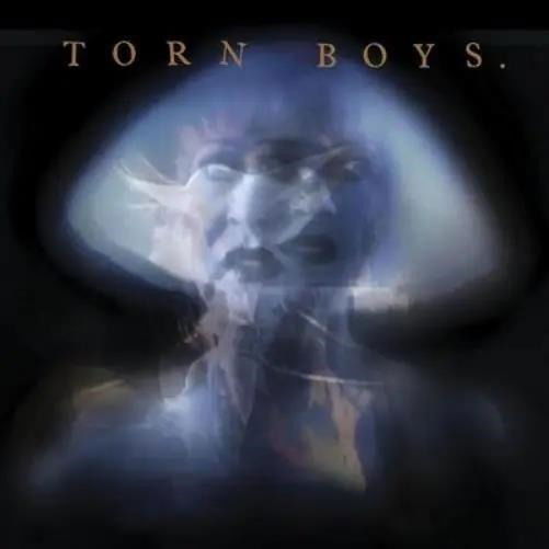 Torn Boys - 1983 (2 LPs) Cover Arts and Media | Records on Vinyl