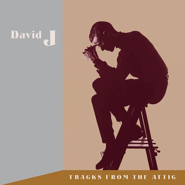 David J - Tracks From the Attic (3 LPs) Cover Arts and Media | Records on Vinyl