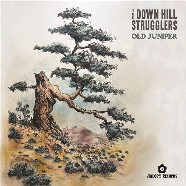  |   | Down Hill Strugglers - Old Juniper (LP) | Records on Vinyl