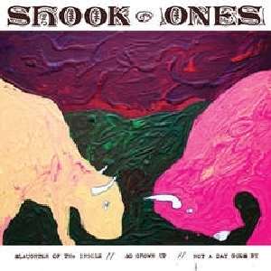 Shook Ones - Slaughter of the Insole (Single) Cover Arts and Media | Records on Vinyl