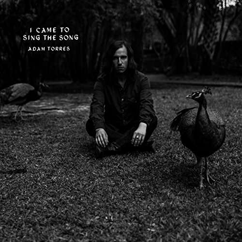 Adam Torres - I Came To Sing the Song (Single) Cover Arts and Media | Records on Vinyl