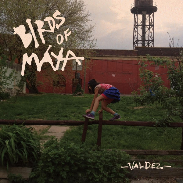  |   | Birds of Maya - Valdez (LP) | Records on Vinyl