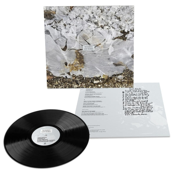  |  Vinyl LP | Tim Barnes - Lost Words (LP) | Records on Vinyl