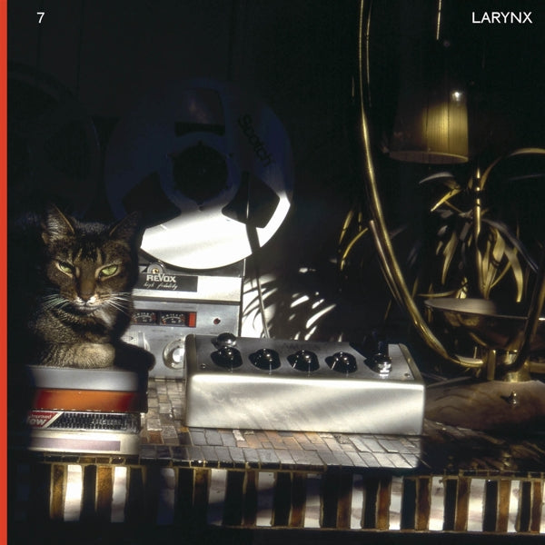 Lary 7 - Larynx (2 LPs) Cover Arts and Media | Records on Vinyl