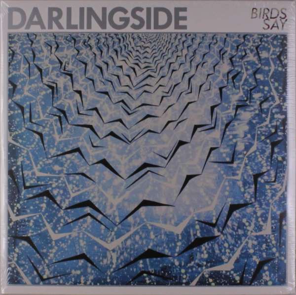 Darlingside - Birds Say (LP) Cover Arts and Media | Records on Vinyl