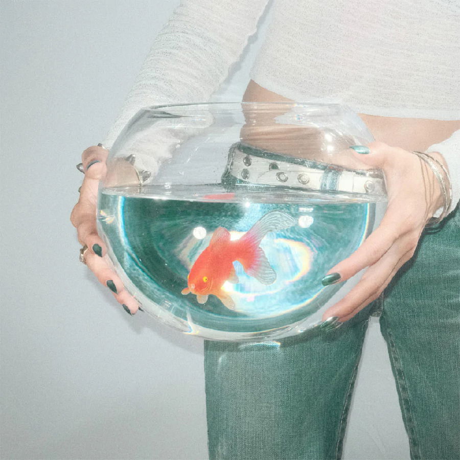 Fish Narc - Frog Song (LP) Cover Arts and Media | Records on Vinyl