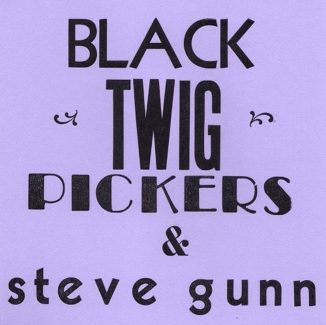 Black Twig Pickers/Steve Gunn - Lonesome Valley (Single) Cover Arts and Media | Records on Vinyl