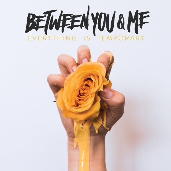  |   | Between You & Me - Everything is Temporary (LP) | Records on Vinyl