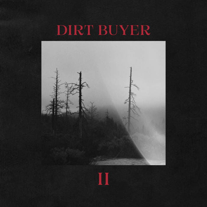 Dirt Buyer - Dirt Buyer Ii (LP) Cover Arts and Media | Records on Vinyl