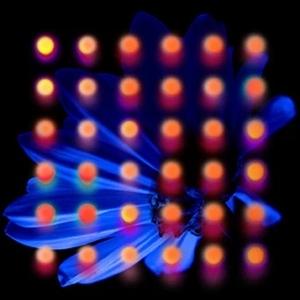 Anberlin - Nevertake (LP) Cover Arts and Media | Records on Vinyl