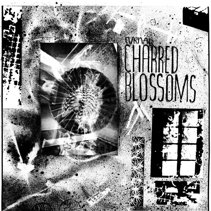 Cyrnai - Charred Blossoms (LP) Cover Arts and Media | Records on Vinyl