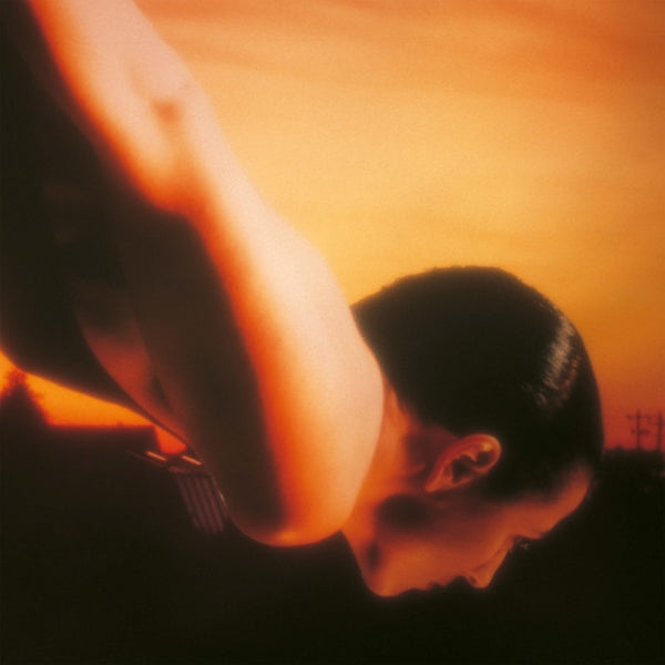  |   | Porcupine Tree - On the Sunday of Life (2 LPs) | Records on Vinyl