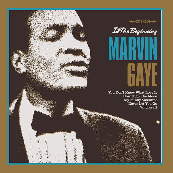 Marvin Gaye - In the Beginning (LP) Cover Arts and Media | Records on Vinyl