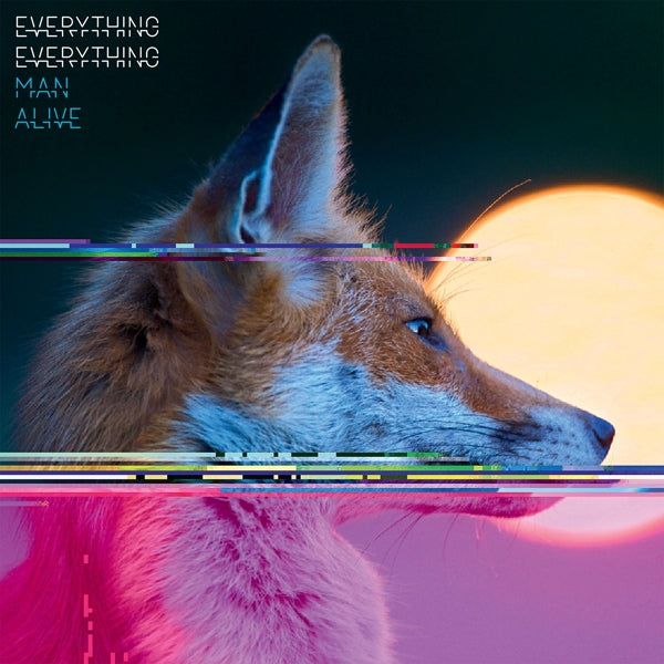 Everything Everything - Man Alive (LP) Cover Arts and Media | Records on Vinyl