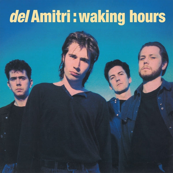  |   | Del Amitri - Waking Hours (LP) | Records on Vinyl