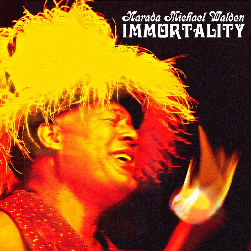  |   | Narada Michael Walden - Immortality (LP) | Records on Vinyl