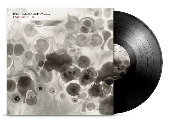  |  Vinyl LP | Julia & Dalava Ulehla - Understories (LP) | Records on Vinyl