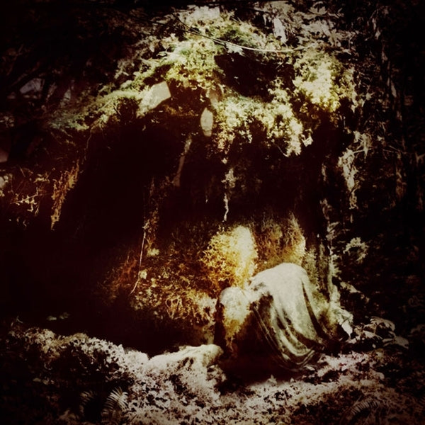  |   | Wolves In the Throne Room - Celestial Lineage (2 LPs) | Records on Vinyl