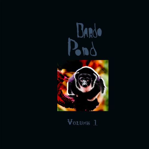 Bardo Pond - Volume 1 (LP) Cover Arts and Media | Records on Vinyl