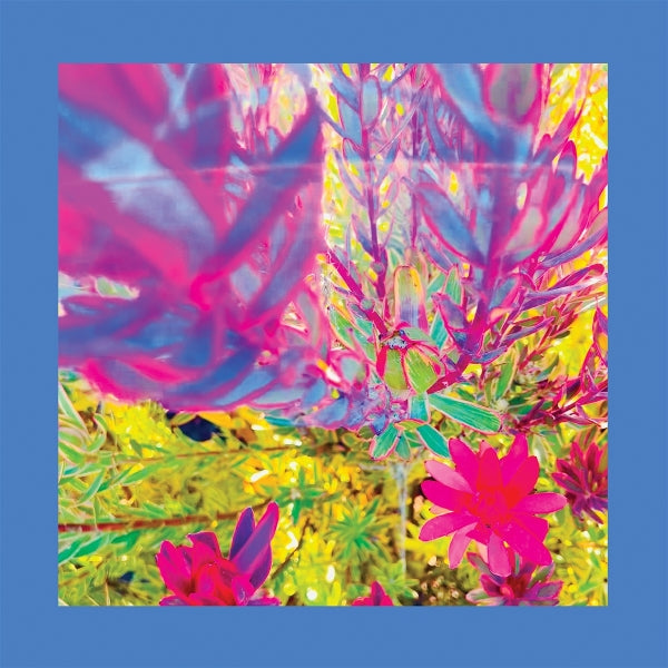  |  vinyl lp | Pinks & Purples Reds - The Past is a Garden I Never Fed (LP) | Records on Vinyl