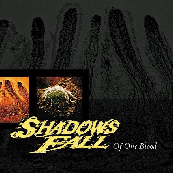  |   | Shadows Fall - Of One Blood (LP) | Records on Vinyl