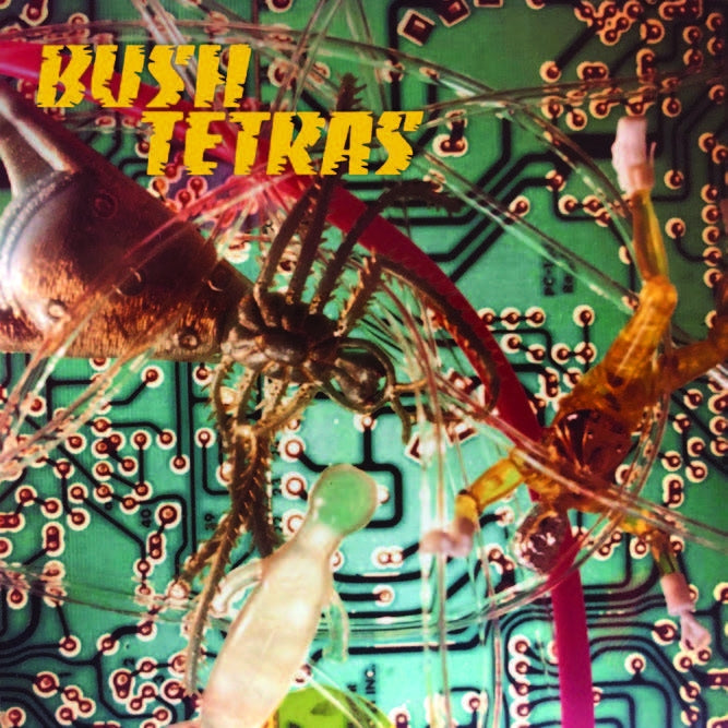  |   | Bush Tetras - There is a Hum (Single) | Records on Vinyl