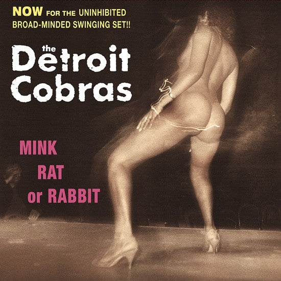  |   | Detroit Cobras - Mink Rat or Rabbit (LP) | Records on Vinyl