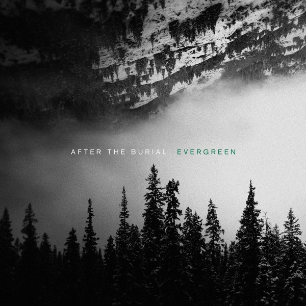 |   | After the Burial - Evergreen (LP) | Records on Vinyl