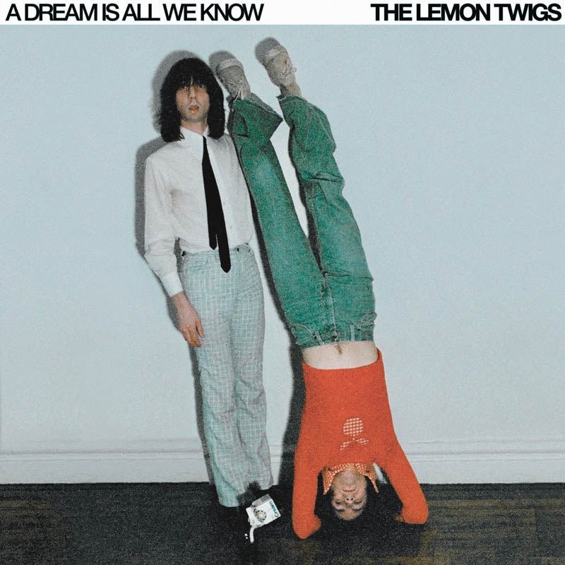 Lemon Twigs - A Dream is All We Know (Ube) (LP) Cover Arts and Media | Records on Vinyl