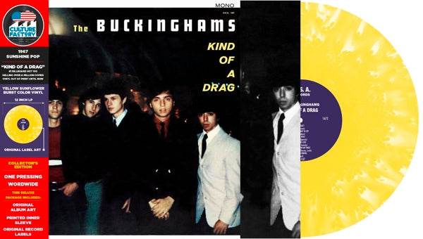  |   | Buckinghams - Kind of a Drag (LP) | Records on Vinyl