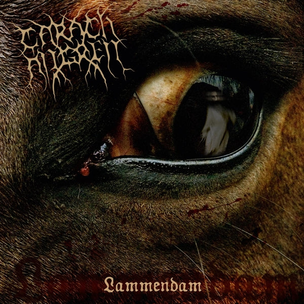  |   | Carach Angren - Lammendam (LP) | Records on Vinyl