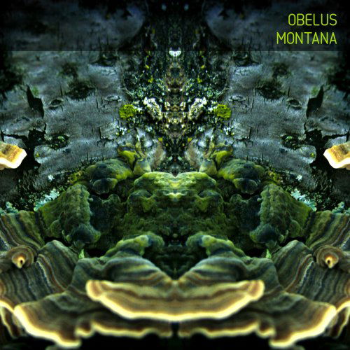 Obelus - Montana (LP) Cover Arts and Media | Records on Vinyl