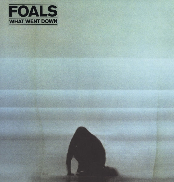  |   | Foals - What Went Down (LP) | Records on Vinyl