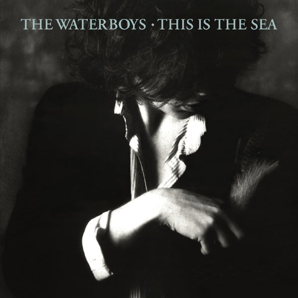  |   | Waterboys - This is the Sea (LP) | Records on Vinyl