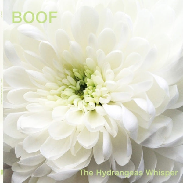  |   | Boof - Hydrangeas Whisper (2 LPs) | Records on Vinyl