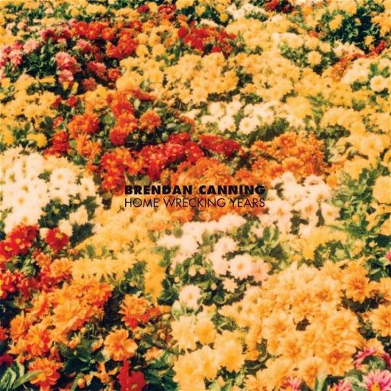 Brendan Canning - Home Wrecking Years (LP) Cover Arts and Media | Records on Vinyl