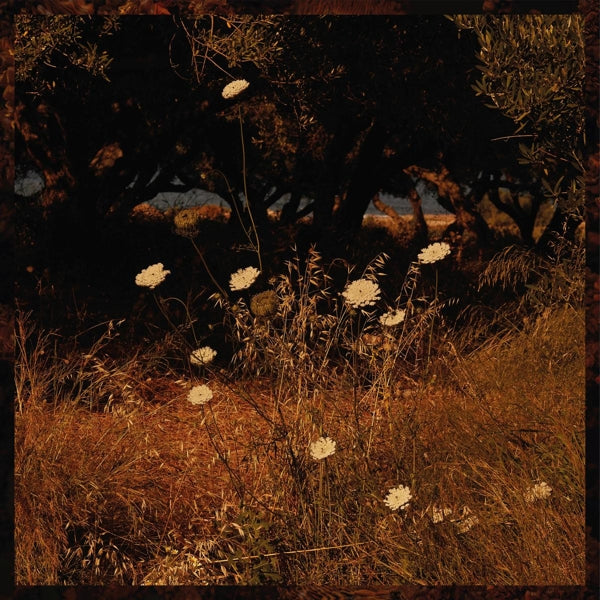  |   | Szun Waves - Earth Patterns (LP) | Records on Vinyl
