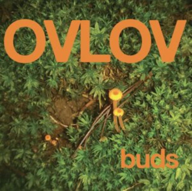 Ovlov - Buds (LP) Cover Arts and Media | Records on Vinyl
