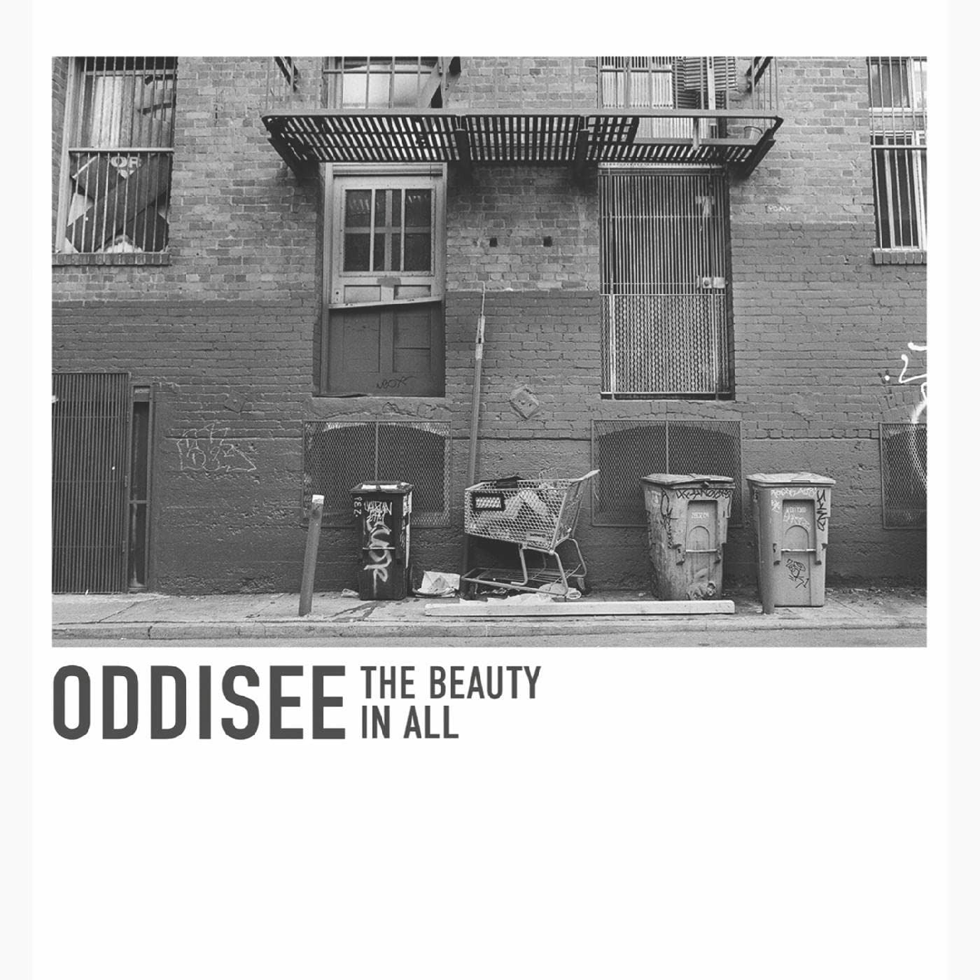 Oddisee - Beauty In All (LP) Cover Arts and Media | Records on Vinyl