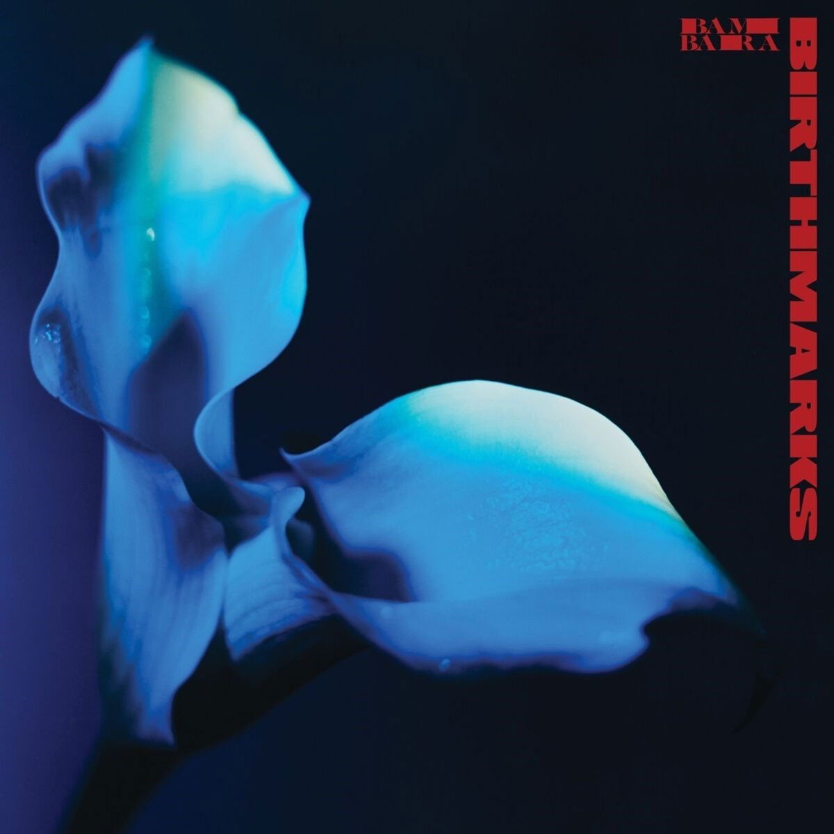 Bambara - Birthmarks (LP) Cover Arts and Media | Records on Vinyl