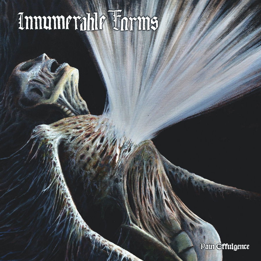 Innumerable Forms - Pain Effulgence (LP) Cover Arts and Media | Records on Vinyl