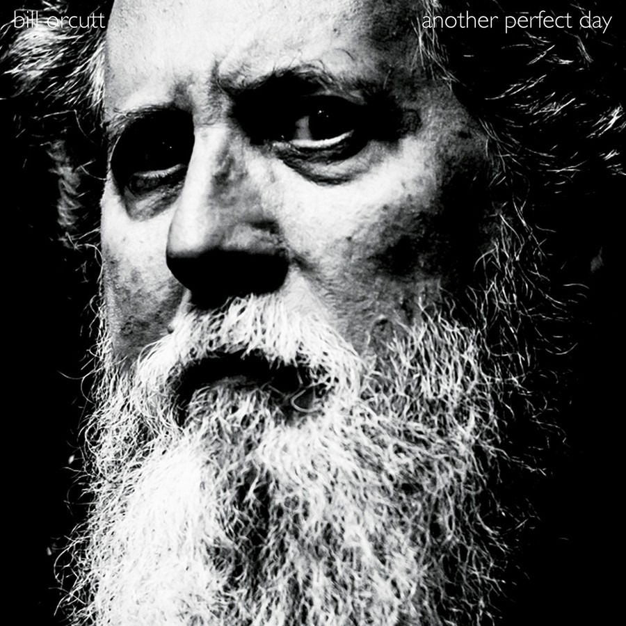 Bill Orcutt - Another Perfect Day (LP) Cover Arts and Media | Records on Vinyl
