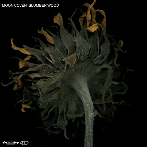  |   | Moon Coven - Slumber Wood (LP) | Records on Vinyl